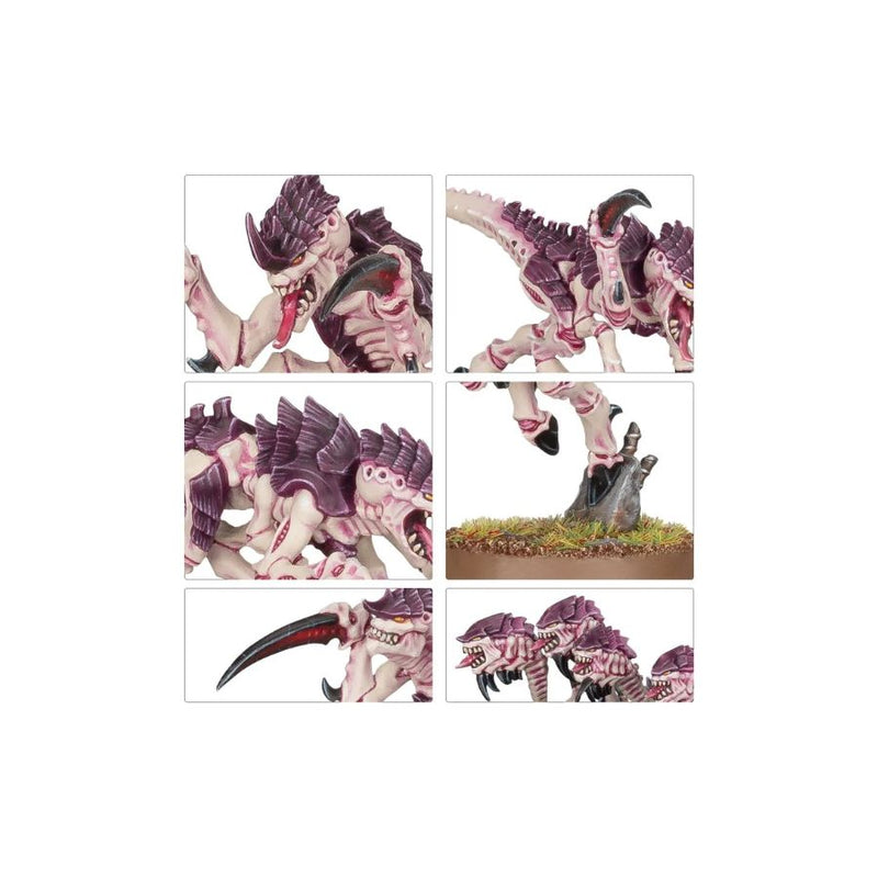 Hormagaunts - WH40k: Tyranids