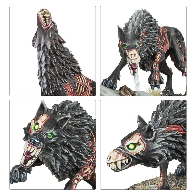 Dawnbringers: Fangs of the Blood Queen - Age of Sigmar: Flesh-eater Courts