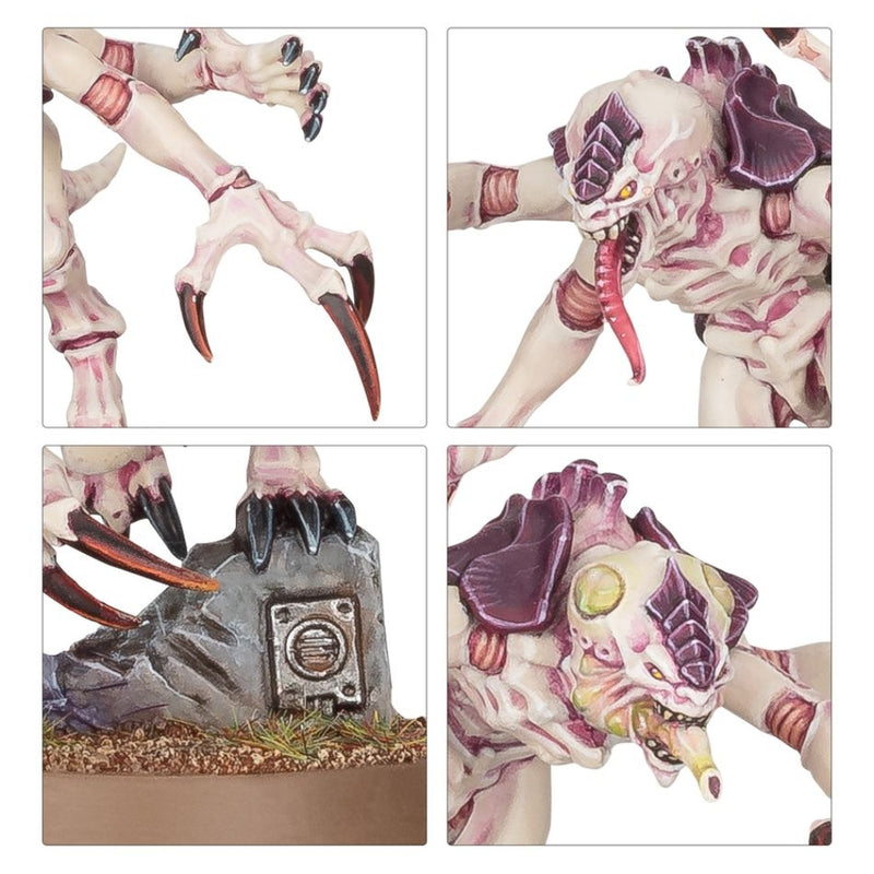 Combat Patrol: Tyranid Assault Brood 2025 - WH40k