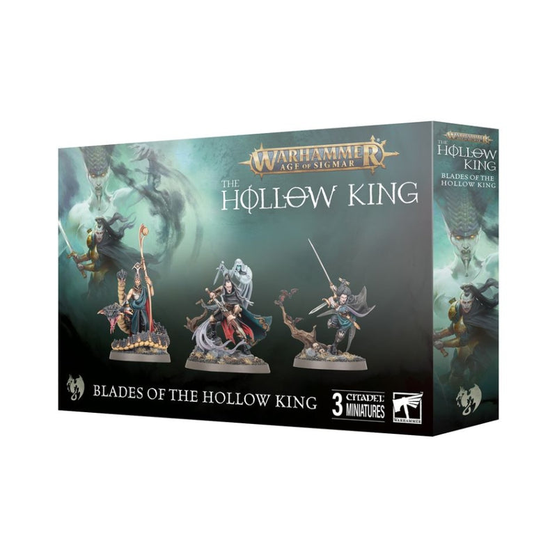 Blades of the Hollow King - Age of Sigmar: Soulblight Gravelords