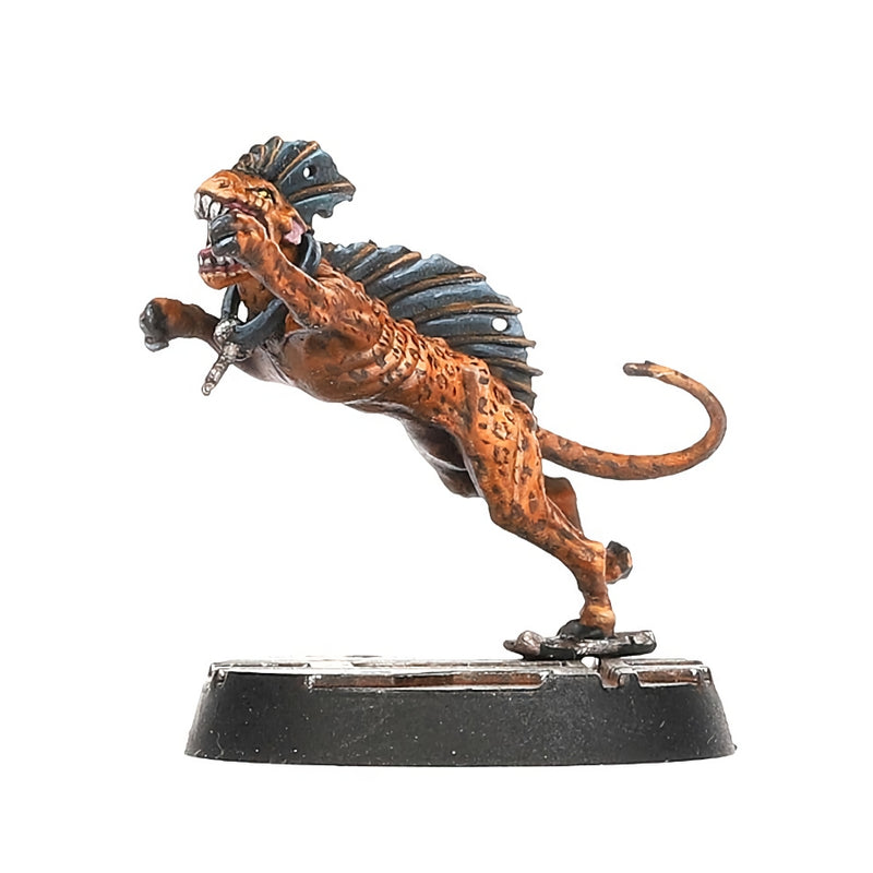 Escher: Death Maidens and Wyld-Runners - Necromunda