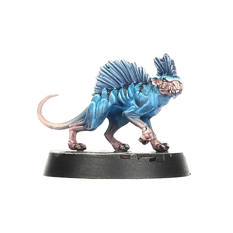 Escher: Death Maidens and Wyld-Runners - Necromunda