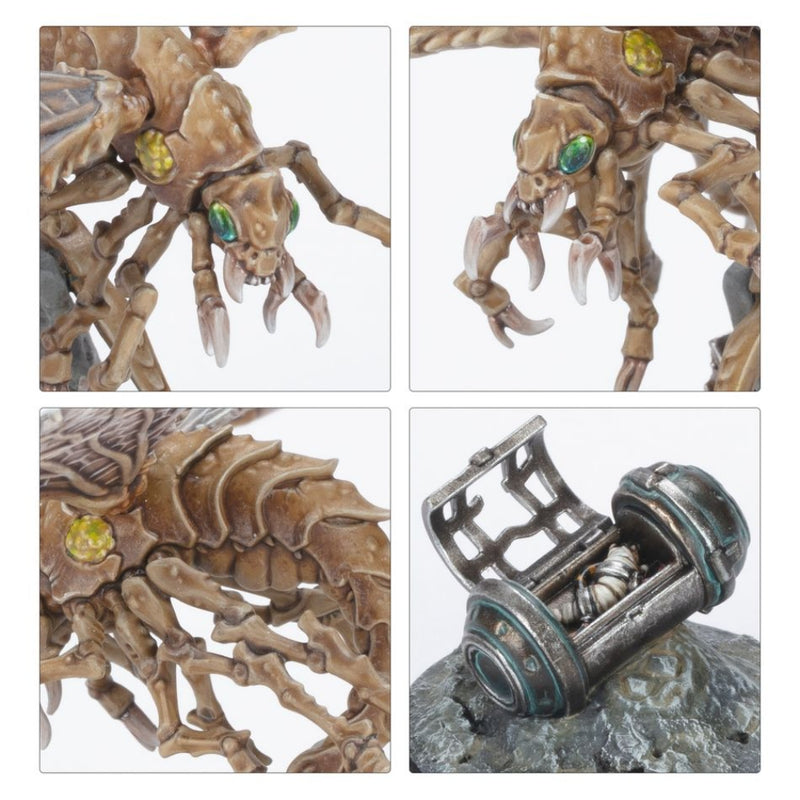 Nomads Ashwing Helamites - Necromunda