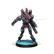 Bit & KISS! (Hacker) - Infinity: Combined Army Pack - RedQueen.mx