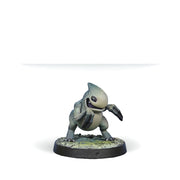 Kaeltar - Infinity: NA2-Spiral Corps Pack - RedQueen.mx