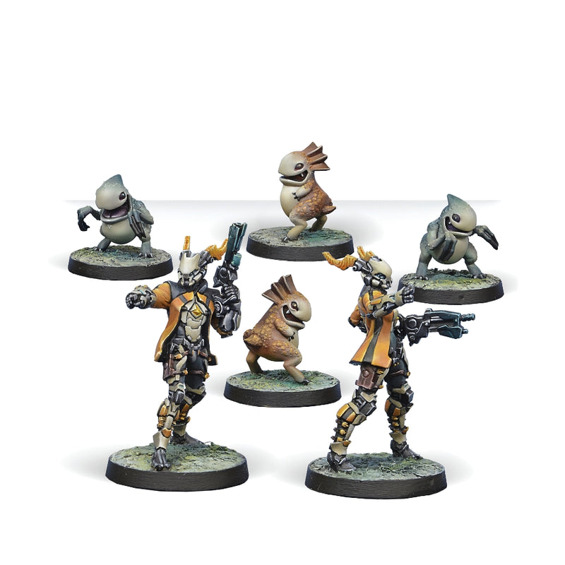 Kaeltar - Infinity: NA2-Spiral Corps Pack - RedQueen.mx