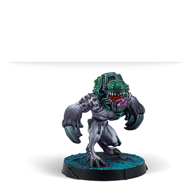 Jayth Cutthroats, Shasvastii Independent Assault Group - Infinity: Combined Army - RedQueen.mx