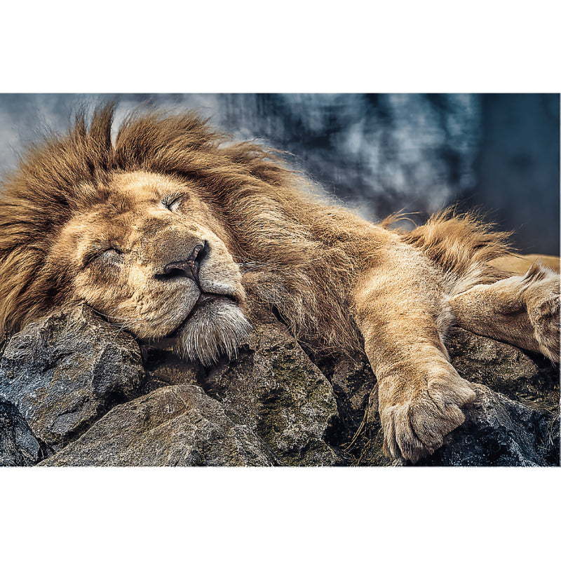 León Durmiendo: Rompecabezas 1000 Piezas - Trefl - RedQueen.mx