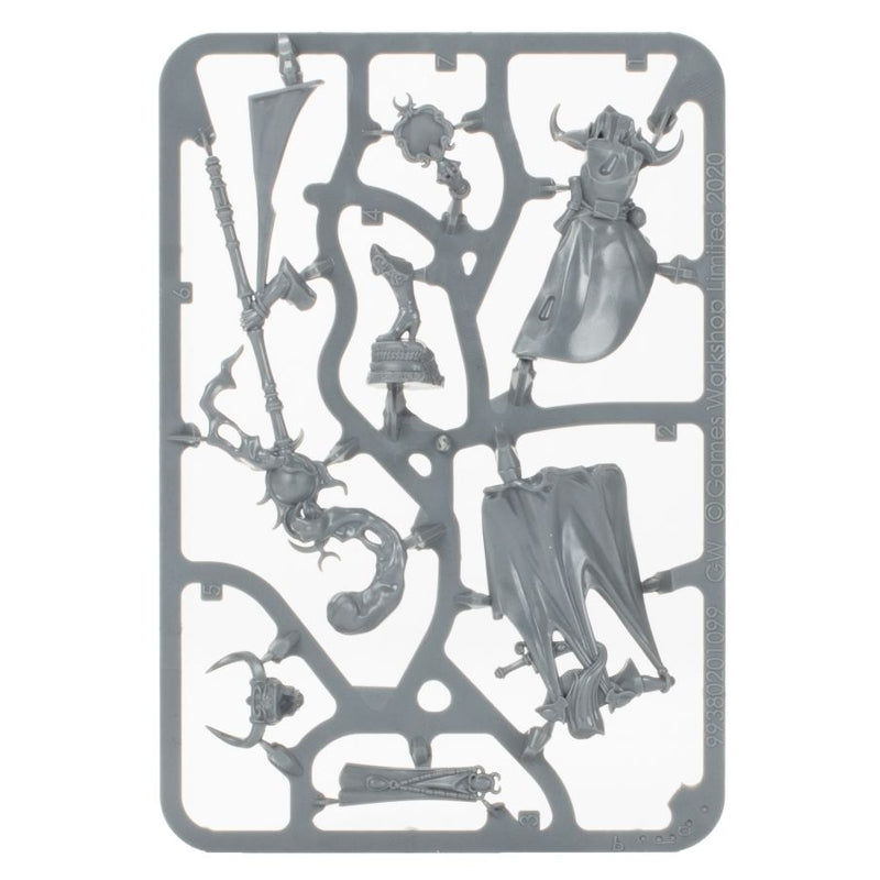 Shardspeaker of Slaanesh - WH Age of Sigmar: Hedonites of Slaanesh - RedQueen.mx