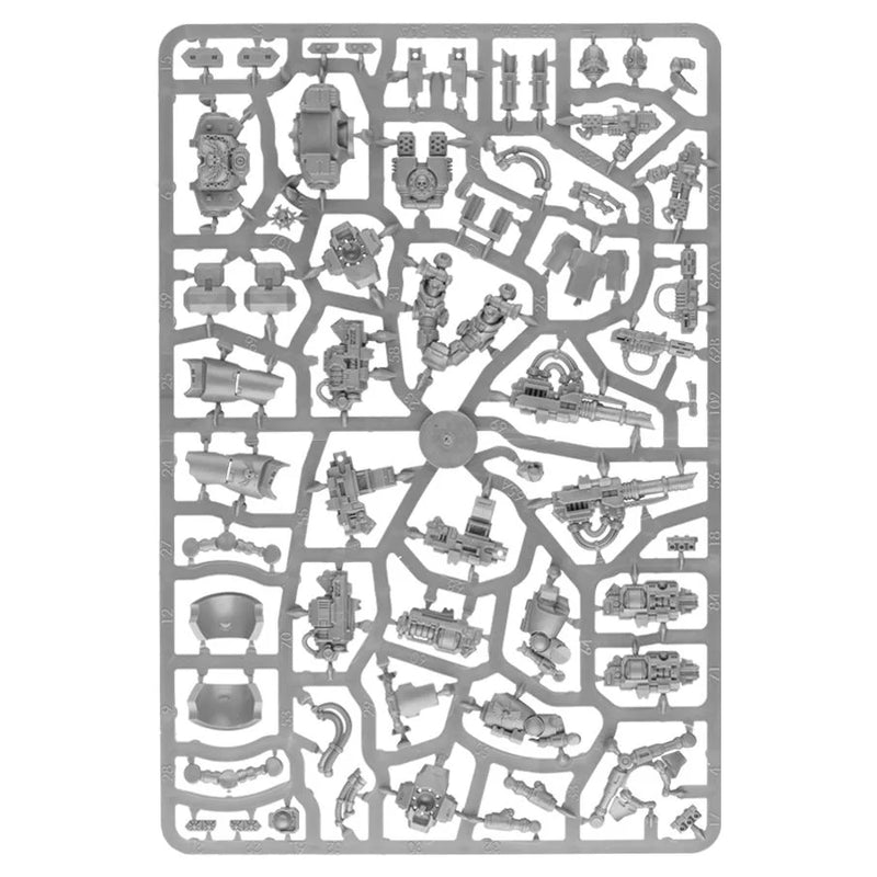 Centurion Devastator/Assault Squad - WH40k: Space Marines - RedQueen.mx