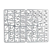 Wyches - WH40k: Drukhari - RedQueen.mx