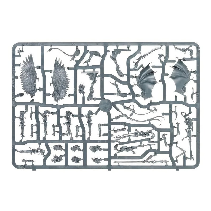 Scourges -  WH40k: Drukhari - RedQueen.mx