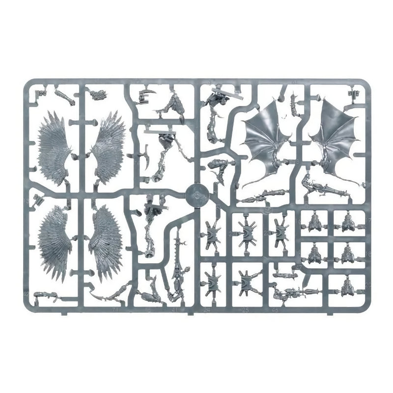 Scourges -  WH40k: Drukhari - RedQueen.mx