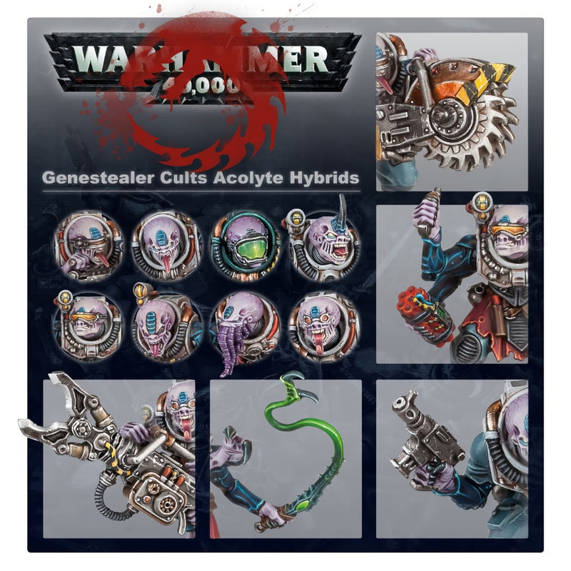 Acolyte Hybrids - WH40k: Genestealer Cult - RedQueen.mx