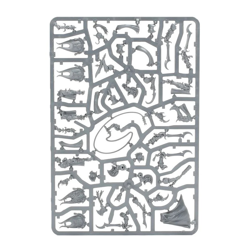 Myrmidesh Painbringers - WH Age of Sigmar: Hedonites of Slaanesh - RedQueen.mx