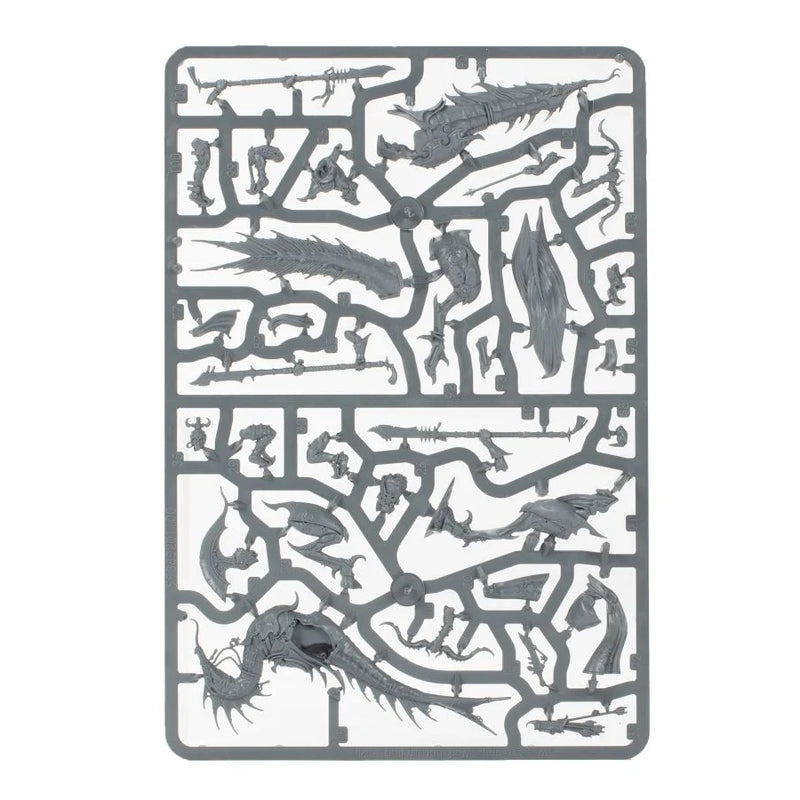 Slickblade Seekers - WH Age of Sigmar: Hedonites of Slaanesh - RedQueen.mx