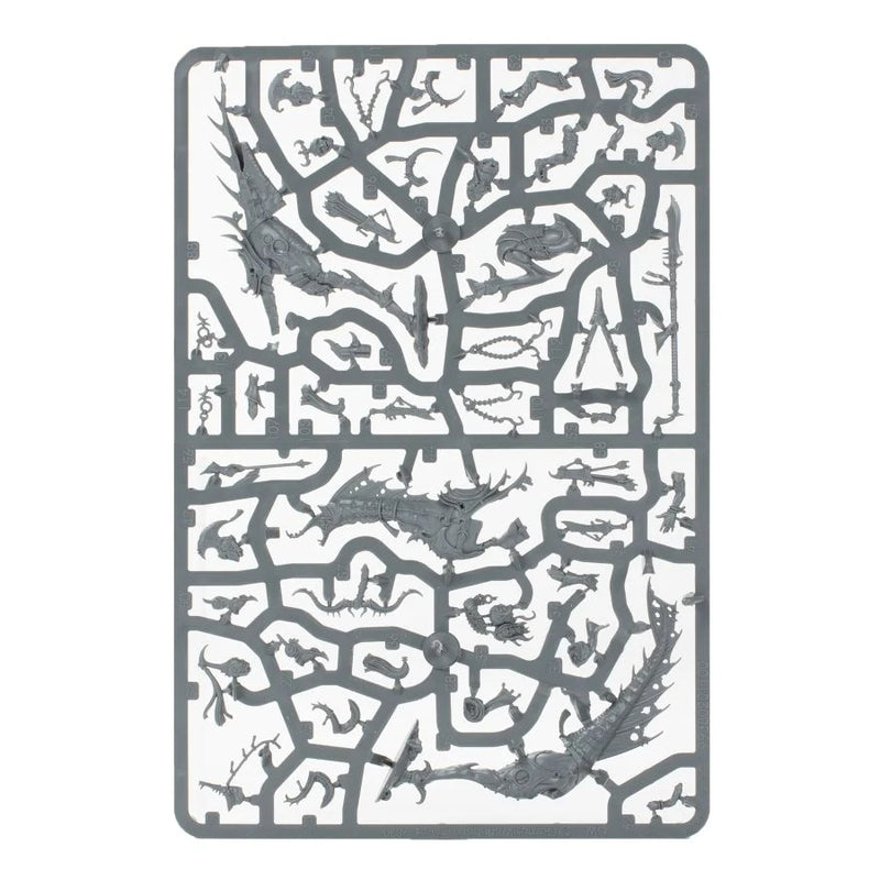 Slickblade Seekers - WH Age of Sigmar: Hedonites of Slaanesh - RedQueen.mx