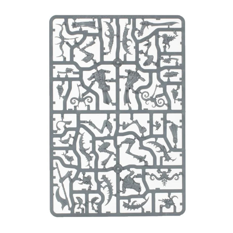 Slaangor Fiendbloods - WH Age of Sigmar: Hedonites of Slaanesh - RedQueen.mx