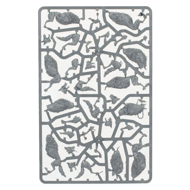 Dire Wolves - WH Age of Sigmar: Soulblight Gravelords - RedQueen.mx