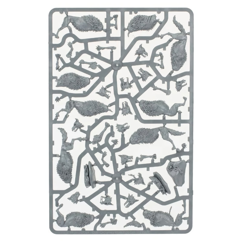 Dire Wolves - WH Age of Sigmar: Soulblight Gravelords - RedQueen.mx