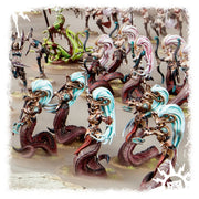 Melusai (Blood Sisters/Stalkers) - WH Age of Sigmar: Daughters of Khaine - RedQueen.mx