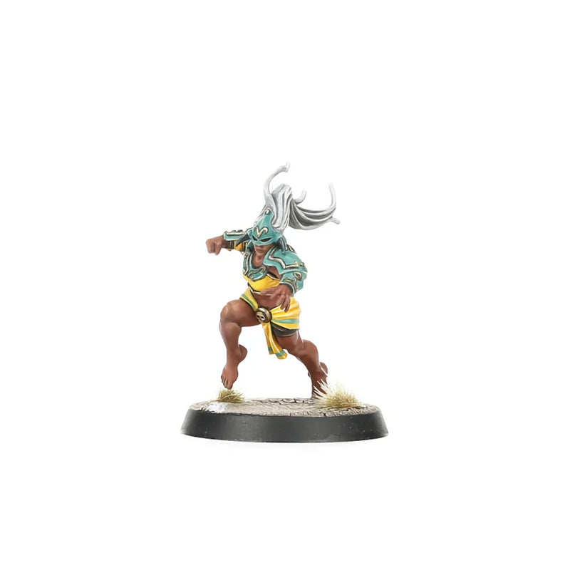 Amazon Team,  Kara Temple Harpies - Blood Bowl - RedQueen.mx