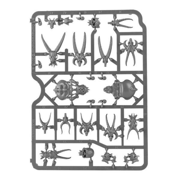 Skulls - Citadel - RedQueen.mx