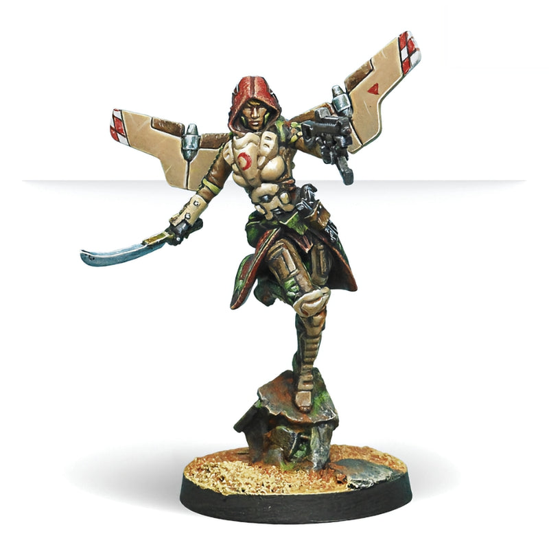 Bashi Bazouks - Infinity: Haqqislam - RedQueen.mx